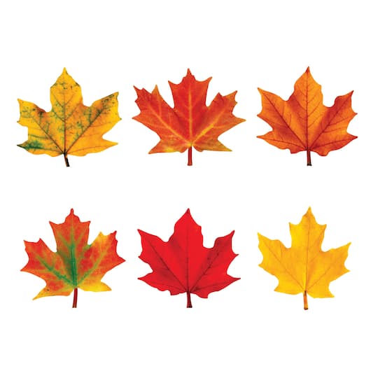Trend Enterprises&#xAE; Maple Leaves Mini Accents Variety Pack, 6 Pack